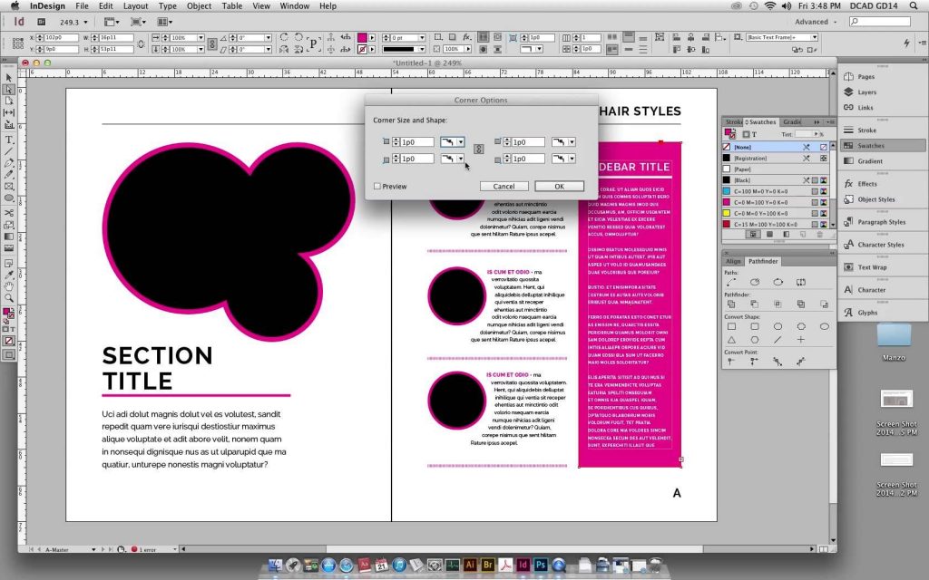 indesign 16.0