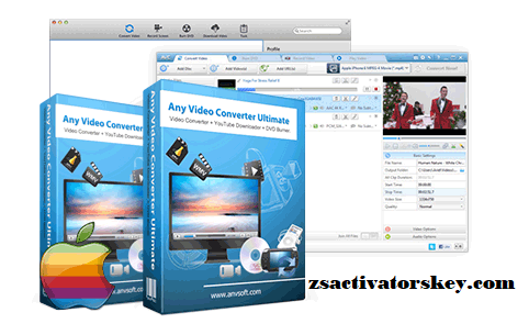 any video converter online